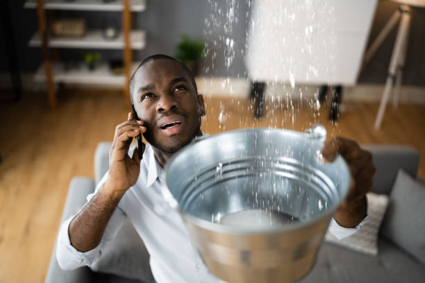 Best Carpet water damage restoration  in Verandah, FL