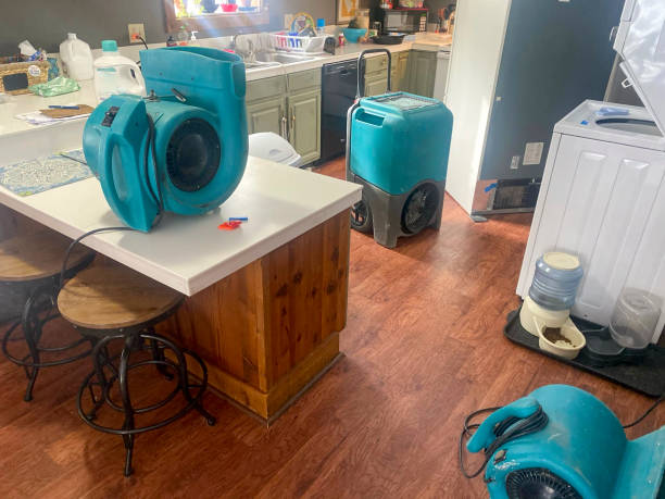Best Water damage restoration near me  in Verandah, FL