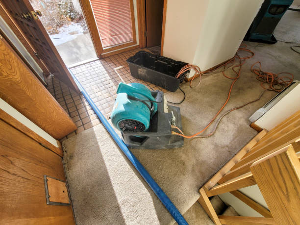 Best Flood damage cleanup  in Verandah, FL