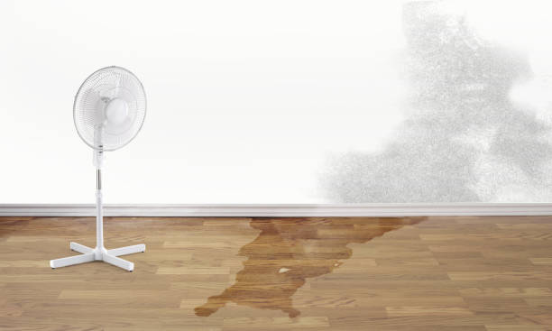 Best 24/7 water damage repair  in Verandah, FL