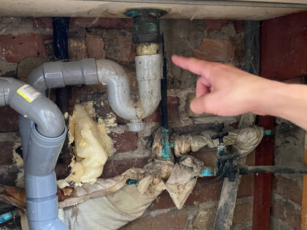 Best Basement water damage restoration  in Verandah, FL